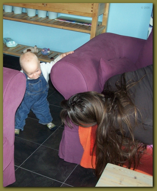 490x598 pixels (239K)